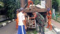 IMG-20250106-WA0194
