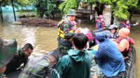 IMG-20250211-WA0401