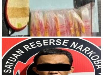 Edarkan Narkoba, Warga Asal Tapus Lembak Ditangkap