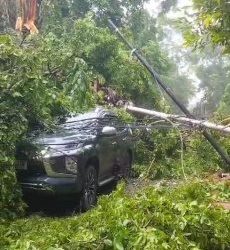 Angin Kencang Tumbangkan Pohon Dan Tiang Listrik Kawasan Kota Muara Enim