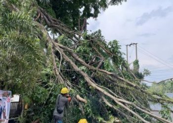 PLN Muara Enim Diterjang Angin Puting Beliung