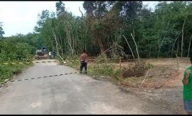 Jembatan Penghubung Desa Tebat Agung -Gerinam Rambang Niru Dibongkar Warga Bisa Lalui Jalan Darurat 