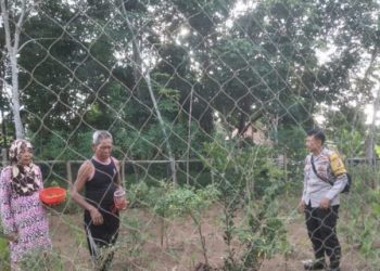 Bhabinkamtibmas Polsek Gunung Megang Ajak Warga Ujan Mas Ulu Perkuat Ketahanan Pangan