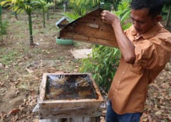 Tingkatkan Kesejahteraan Masyarakat, Bukit Asam (PTBA) Gelar Pelatihan Pengolahan Madu hingga Penanganan Hama