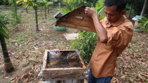 Tingkatkan Kesejahteraan Masyarakat, Bukit Asam (PTBA) Gelar Pelatihan Pengolahan Madu hingga Penanganan Hama