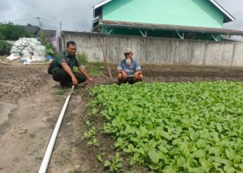 Babinsa Koramil 0404/04 Gunung Megang Laksanakan Komsos dengan Petani Sayuran di Desa Binaan