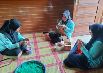 Tingkatkan Kompetensi UMK Binaan, Bukit Asam (PTBA) Ajak SIBA Rajut Belajar ke Pati