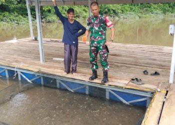 Babinsa Koramil 04/Gunung Megang Kunjungi Peternak Ikan Lele di Desa Betung