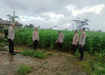 Demi Ketahanan Pangan Bagian SDM Polres Muara Enim Tempuh Perjalanan Naiki Lereng Gunung Semende