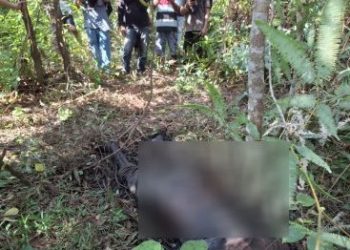 Penemuan Mayat Ditemukan di Kebun Karet Desa Parjito Gunung Megang Telah Membusuk 