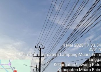 Breaking News, Aliran Listrik di Muara Enim Kembali Padam, Manager PLN : Adanya Kabel Terbelit Dilewati Hewan