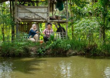 Bukit Asam (PTBA) Mendorong Transformasi Desa Lewat Usaha Budidaya Perikanan