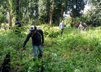 Babinsa Koramil 04/Gunung Megang Bersama Warga Desa Pagar Dewa Gelar Karya Bakti Bersihkan TPU dan Jalan Desa