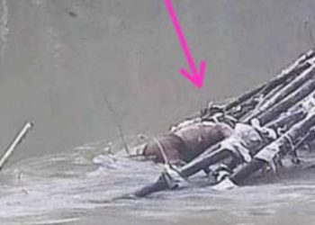 Warga Tanjung Raja Muara Enim Temukan Mayat di Aliran Sungai Enim