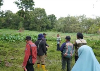 Pemdes Tebat Agung Niru Rangkul BPP Manfaatkan Lahan Tidak Produktif 