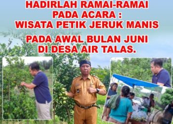 Desa Air Talas Rambang Niru Jadi Pusat Wisata Petik Jeruk 