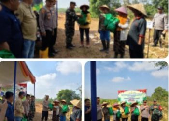 Babinsa Koramil 404/04 Gunung Megang Hadiri Panen Raya Jagung Serentak di Desa Panang Jaya