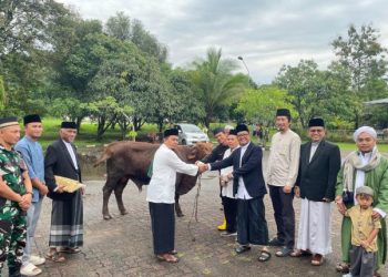 Bukit Asam Salurkan 331 Hewan Kurban ke Seluruh Wilayah Operasional