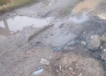 Jalan di Desa Payangus Sepanjang 60 Meter Rusak Parah, Ini Harapan Tokoh Masyarakat Sungai Rotan 