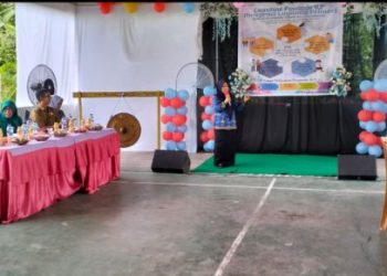 Launching Posyandu ILP di Desa Karang Endah Gelumbang Berlangsung Antusias 