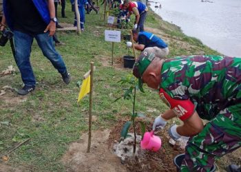 Koramil 404-04/GM Hadiri Kegiatan Penanaman Pohon Program SIMA HIJAU di Desa Tanjung Muning
