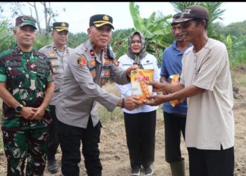 Polres Muara Enim Dukung Swasembada Pangan Nasional, Tanam Jagung Serentak Seluas 16,5 Hektare 