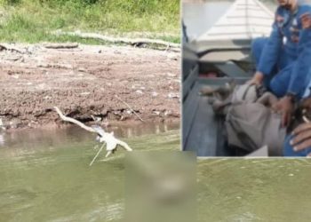 Bocah Tenggelam di Perairan Sungai Lematang Desa Sukacinta Sungai Rotan Muara Enim Ditemukan Mengapung 