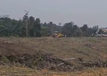 Tanggapan PTBA Terkait Laporan Lahan Proyek CHF TLS 6 & 7