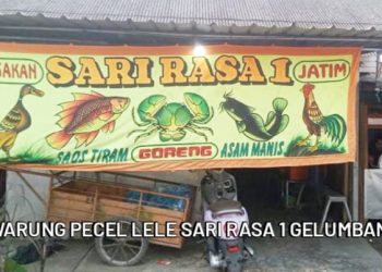 Jika Anda Lewat Jalan Raya Gelumbang Mampir di Warung Pecel Lele “SARI RASA 1” Nikmatnya Mak Jos !!!