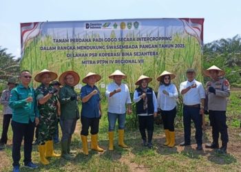 Danramil 404-04/GM Hadiri Penanaman Padi Gogo di Desa Pajar Indah