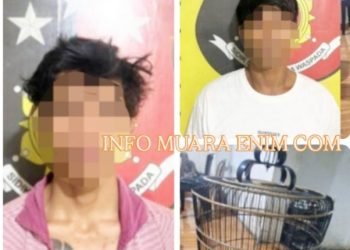 Curi Burung Murai Batu Seharga 3 Juta, 2 Pelaku Ditangkap Team Trabaz Polsek Gunung Megang 