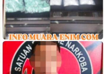Sempat Hebohkan Warga, Polres Muara Enim Gerebek Pengedar Narkoba Kelas Berat Berikut Barang Buktinya 
