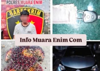 Tim Rajawali Ringkus Pelaku Pencuri Buah Sawit di Benakat 
