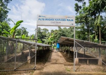 Dukung Aksi Iklim Berkelanjutan, PTBA Raih Penghargaan Pembina Desa Proklim 2025