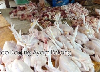 Nataru Masih Sebulan Lagi, Pelanggan Keluhkan Harga Ayam Potong di Pasar Pagi Gelumbang Naik 