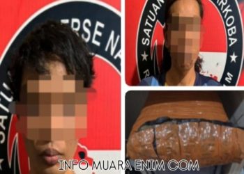 Polisi Ungkap Kasus Ganja Seberat 840 Gram di Desa.Pagar Gunung Lubai Muara Enim 