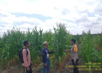 Polisi Terus Kawal Program Ketahanan Pangan Lewat Pemantauan Lahan Jagung di PT SEAL