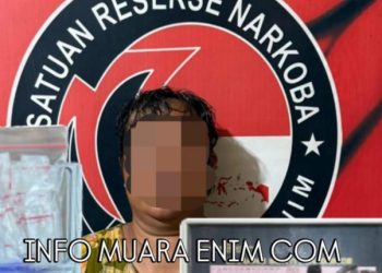 Heboh, Wanita di Ujan Mas Muara Enim Ditangkap Edarkan Sabu & Sembunyikan 57 Paket Narkoba 