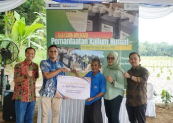 Langkah Nyata PTBA Tingkatkan Hasil Panen Petani Muara Enim Lewat Uji Coba Pemanfaatan Kalium Humat