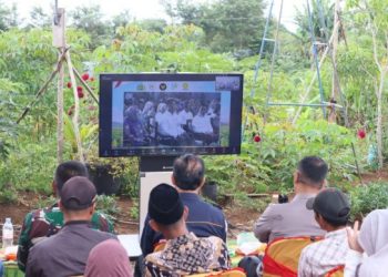 Bersama Kapolri, Muara Enim Ikuti Zoom Meeting Panen Raya Jagung Nasional di Kampung Tembong Gunung 