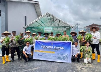 Wujudkan Ketahanan Pangan Dan Kepedulian Sosial, Lapas Muara Enim Ikuti Panen Raya Serentak Pemasyarakatan