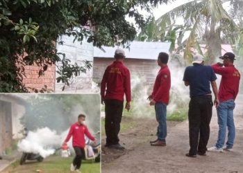 Basmi Nyamuk DBD Kades Karang Endah Gelumbang Pimpin Fogging Pengasapan insektisida