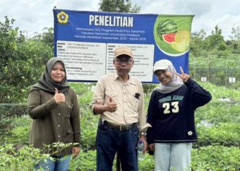 Profesor dari UNSRI Tinjau Inovasi Penelitian Hortikultura di Gelumbang