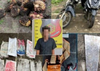 Fajar Menyingsing, Team Trabazz Polsek Gunung Megang Ringkus Buron Pelaku Pencurian TBS 