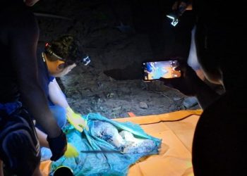 Polda Sumsel Ungkap Penemuan Jenazah Korban Mutilasi di Lahat, Terduga Pelaku Diburu