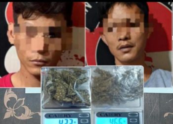 Dua Pengedar Ganja di Desa Berbeda Dibekuk Berurutan Siang Hari di Muara Enim