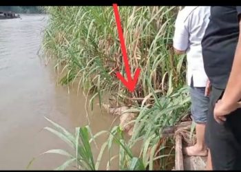 Warga Temukan Mayat Mengapung Dipinggiran Sungai Lematang Muara Gula Baru Muara Enim