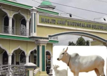 Hari Raya Idul Adha 1447 H Masjid Jami Babussalam Gelumbang Siap Sembelih & Salurkan Daging Qurban ke Warga