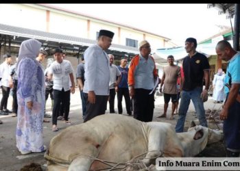 Tanamkan Nilai Pengorbanan dan Keikhlasan Polres Muara Enim Sembelih 14 Sapi dan 12 Kambing di Hari Idul Adha