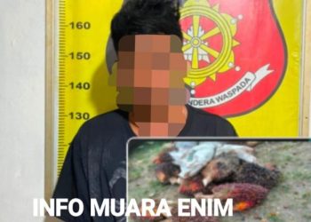 Curi 13 Tandan Buah Sawit Pemuda Berinisial J Diamankan Polsek Gunung Megang 